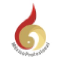 México Profesional logo - Similar company to Tops Universidades