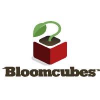Bloomcubes logo - Similar company to Emjaya, Llc