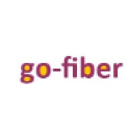 Go-Fiber