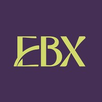 EBX logo - Similar company to Fiam-Faam