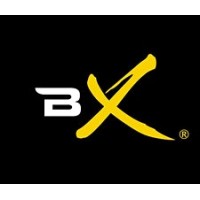 BollyX - The Bollywood Workout logo - Similar company to First Person Group