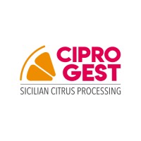CIPRO GEST S.R.L. logo - Similar company to Ice Cube Srl