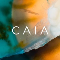 CAIA logo - Similar company to Delve Od Ltd