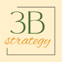 3B Strategy logo - Similar company to Bakers Studio, Llc