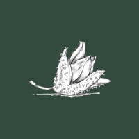 True Nature Leadership logo - Similar company to Champagne Denmark