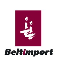 Beltimport LLC logo - Similar company to Prongroup, Llc