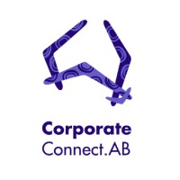 CorporateConnect.AB logo - Similar company to Birubi Australia