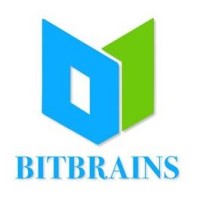 BitBrains Technology Private Limited logo - Similar company to Gnhsoft Inc.