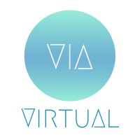 Via Virtual logo - Similar company to It Pro Inovação, Governança E Gestão