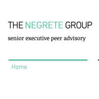 THE NEGRETE GROUP logo - Similar company to Nuscience Corporation