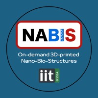 NABIS logo - Similar company to Pomera