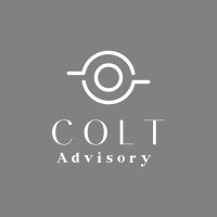 Colt Corporate Finance logo - Similar company to Sas Finance