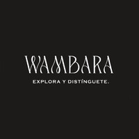 Wambara logo - Similar company to Wise Servicios