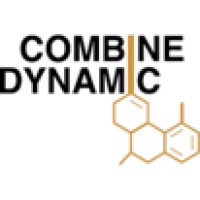 Combine Dynamic logo - Similar company to Xam