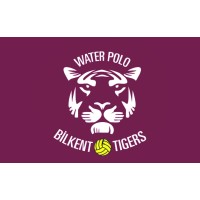 Bilkent TIGERS logo - Similar company to Insurtree