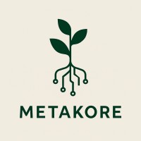 Metakore logo - Similar company to Skyamo