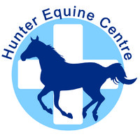 Hunter Equine Centre logo - Similar company to Emerson & Watson Equine Veterinary Surgeons