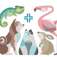 Happy Vet Co-Working Veterinario logo - Similar company to Cdc Vet