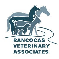 Rancocas Veterinary Associates logo - Similar company to Njpirg