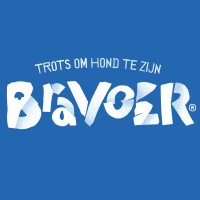 Bravoer logo - Similar company to Soton Bv
