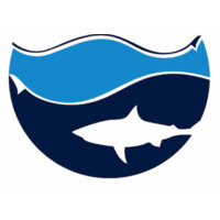 Shark Share Global logo - Similar company to Cargo Shark Inc