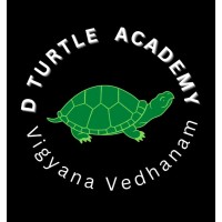 D TURTLE ACADEMY logo - Similar company to Ndr Edtech