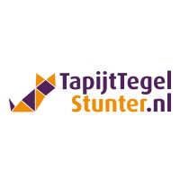 TapijtTegelStunter logo - Similar company to Boson Content