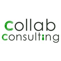 Collab Consulting logo - Similar company to Collab Consulting Services B.V.