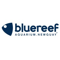 Blue Reef Aquarium Newquay logo - Similar company to Crystal Orbit