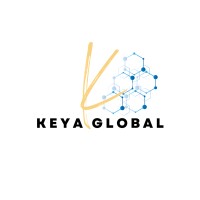 Keya Global logo - Similar company to Infrutious Technologies