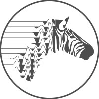 Zebra Geosciences Ltd