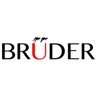 BruderX logo - Similar company to Dienamics