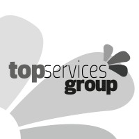 Top Services Group AG logo - Similar company to Netvideo.Tv