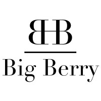 Agence Big Berry logo - Similar company to Bigberrytechs