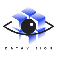 Data Vision logo - Similar company to Data Vision