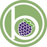 BlackBerry Radio Network logo - Similar company to Seaside Packaging Inc.