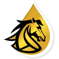 Arab Co. for Petroleum Industries logo - Similar company to Idm Technologies Egypt