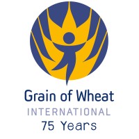 Grain Of Wheat International