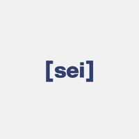 [sei] logo - Similar company to Ts Group Robot