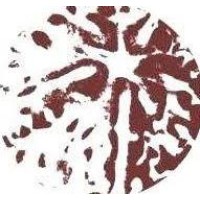 OeildeRudra logo - Similar company to Abcthérapeutes