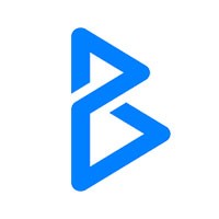 BLESEN logo - Similar company to Kinchip Systems