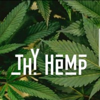 Thy Hemp logo - Similar company to Hemp House