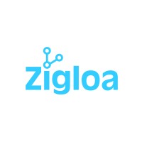 Zigloa logo - Similar company to Seen Design