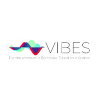 VIBES logo - Similar company to Vibes Project 2021-2025