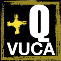 +QVUCA logo - Similar company to Aveso