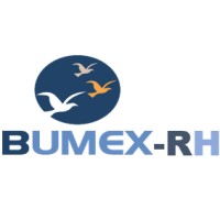 BUMEX-RH logo - Similar company to Exacompte