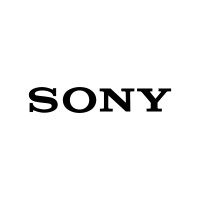 Sony India logo - Similar company to Radyes