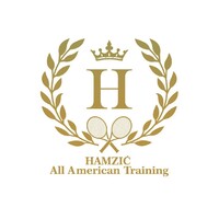 HAMZIC All American Training LLC logo - Similar company to Gnx Solutions