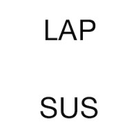 Lapsus logo - Similar company to Edthink