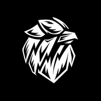 Hawks Production logo - Similar company to Adlore Productions